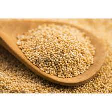 Beyaz haşhaşın 2,5 yıllık ihracat hasreti bitti