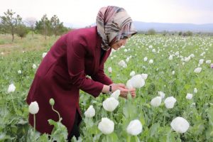 Vali Yiğitbaşı  İlçeleri Ziyaret Ediyor