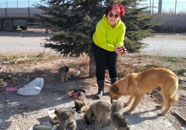 Sokak Hayvanlarına Mama Desteği