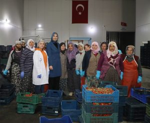 Depremin Yaraları Tarım Sektöründe de Sarılıyor